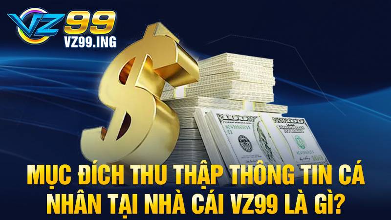 VZ99 35 VZ99 thu thập thông tin người chơi để làm gì?